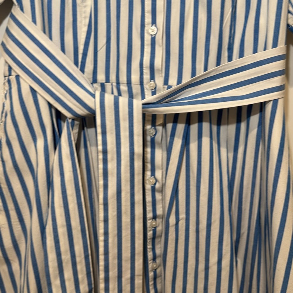 Boden Blue and White Striped Button-Up Dress - Picture 5 of 9